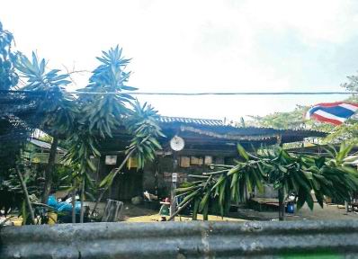 ขายทอดตลาด ที่ดินพร้อมสิ่งปลูกสร้าง ต.สระขวัญ อ.เมืองสระแก้ว จ.สระแก้ว
