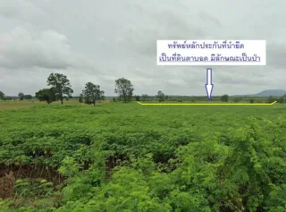รูปทรัพย์ 2