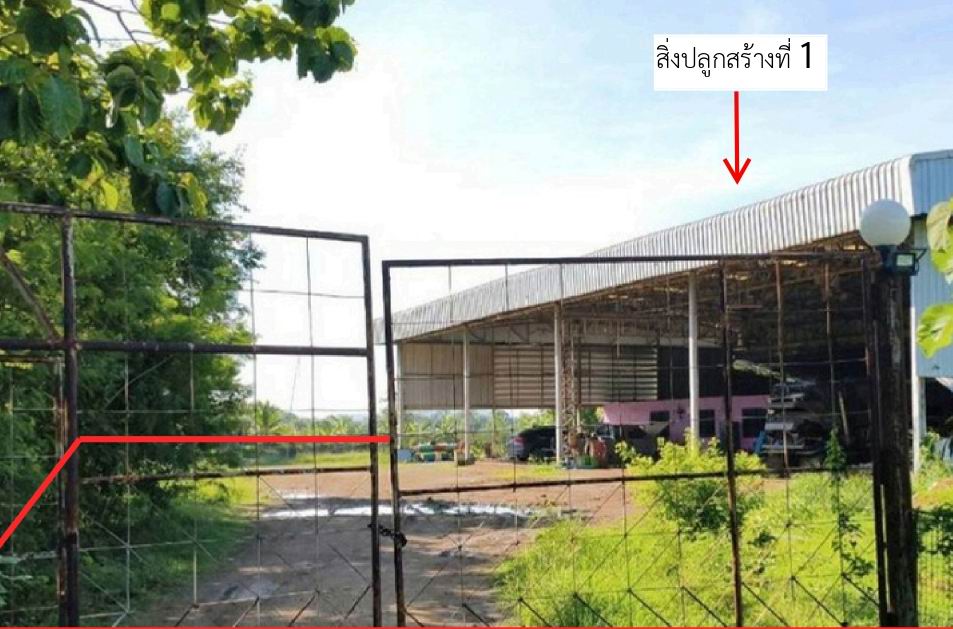 ขายทอดตลาด ที่ดินพร้อมสิ่งปลูกสร้าง ต.ม่วงหวาน อ.หนองแซง จ.สระบุรี