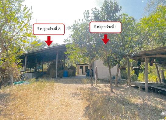 ขายทอดตลาด ที่ดินพร้อมสิ่งปลูกสร้าง ต.โนนโหนน อ.วารินชำราบ จ.อุบลราชธานี