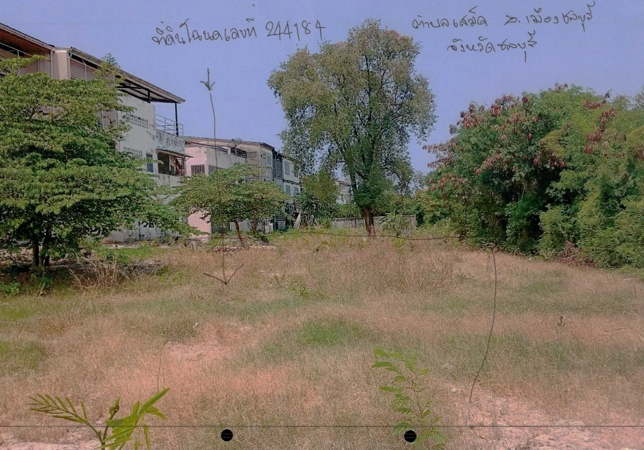 ขายทอดตลาด ที่ดินว่างเปล่า ต.เสม็ด อ.เมืองชลบุรี จ.ชลบุรี