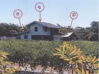 รูปทรัพย์ 2