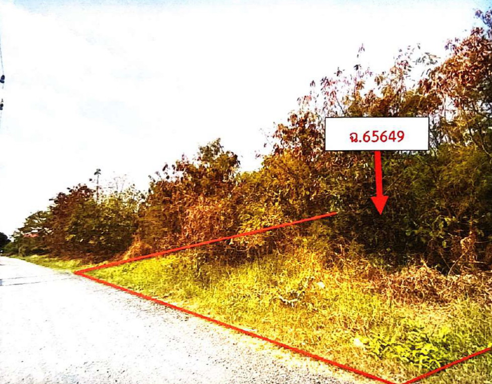 ขายทอดตลาด ที่ดินว่างเปล่า ต.ห้วยขมิ้น อ.หนองแค จ.สระบุรี