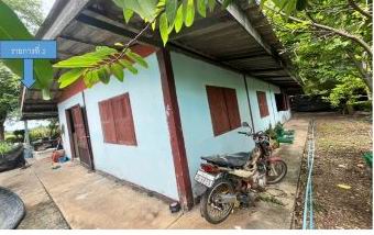 ขายทอดตลาด ที่ดินพร้อมสิ่งปลูกสร้าง ต.หนองจิก อ.หนองแค จ.สระบุรี