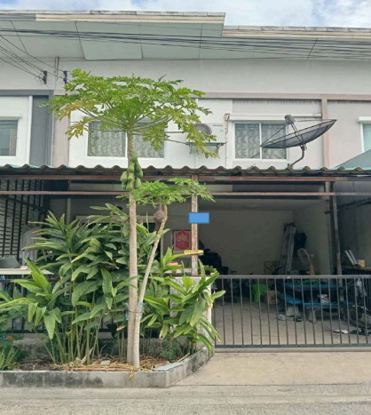 ขายทอดตลาด ที่ดินพร้อมสิ่งปลูกสร้าง ต.บ้านเกาะ อ.เมืองสมุทรสาคร จ.สมุทรสาคร