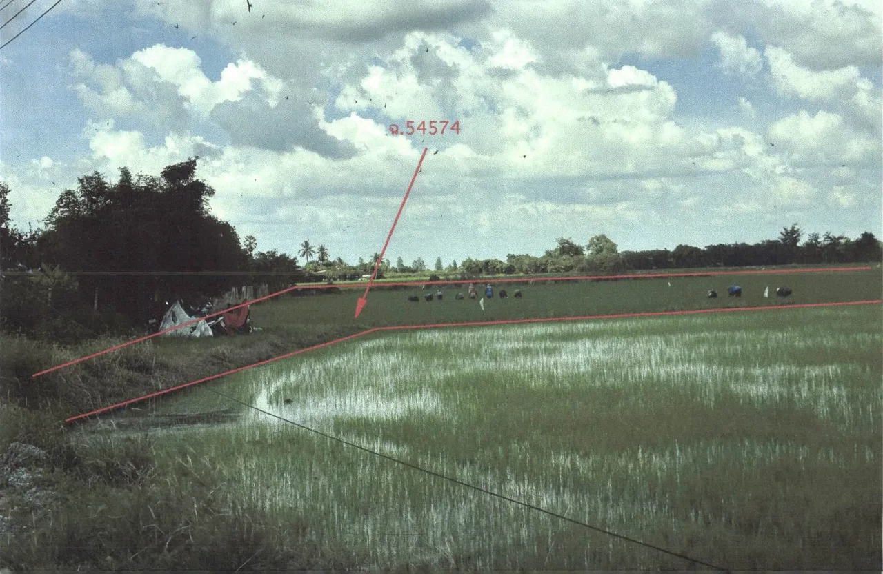 ขายทอดตลาด ที่ดินว่างเปล่า ต.ปลายนา อ.ศรีประจันต์ จ.สุพรรณบุรี
