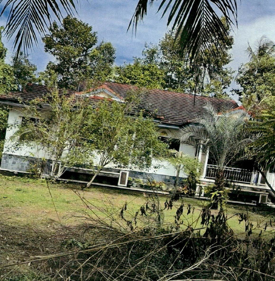 ขายทอดตลาด ที่ดินพร้อมสิ่งปลูกสร้าง ต.คลองประสงค์ อ.เมืองกระบี่ จ.กระบี่