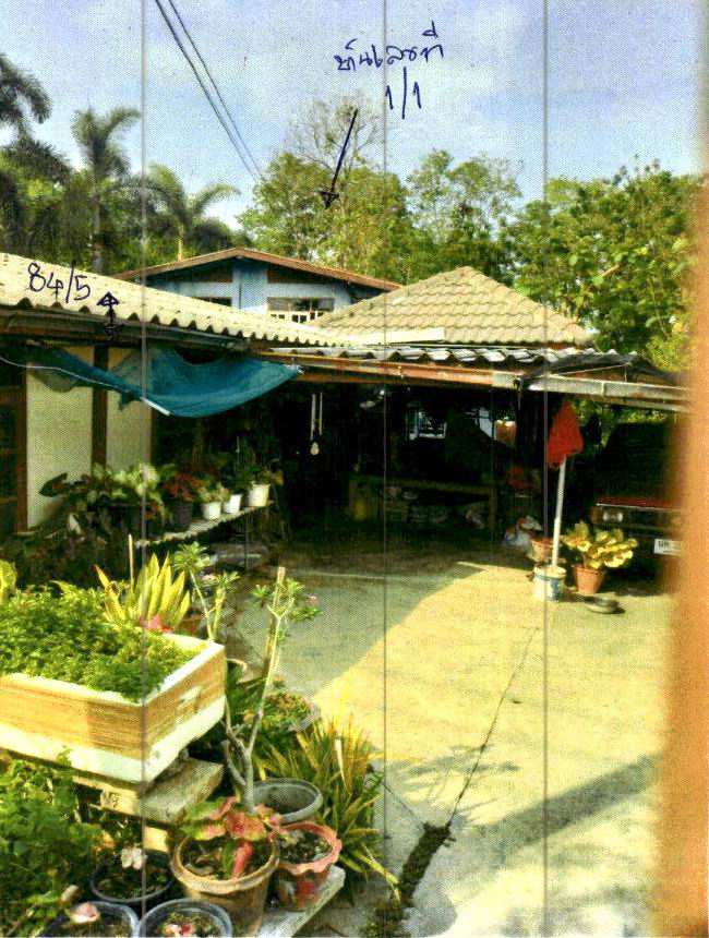 ขายทอดตลาด ที่ดินพร้อมสิ่งปลูกสร้าง ต.สามชุก อ.สามชุก จ.สุพรรณบุรี