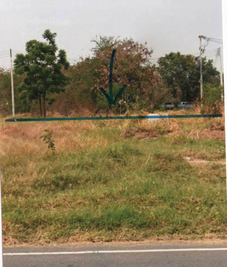 ขายทอดตลาด ที่ดินว่างเปล่า ต.วังม่วง อ.วังม่วง จ.สระบุรี