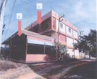 รูปทรัพย์ 2