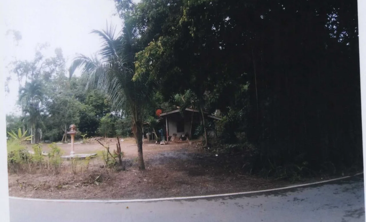 ขายทอดตลาด ที่ดินพร้อมสิ่งปลูกสร้าง ต.พังกาญจน์ อ.พนม จ.สุราษฎร์ธานี
