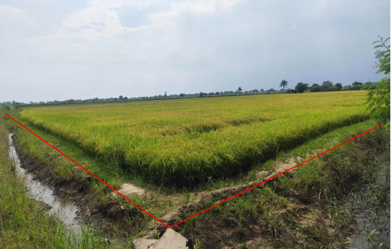 ขายทอดตลาด ที่ดินว่างเปล่า จ.สุพรรณบุรี