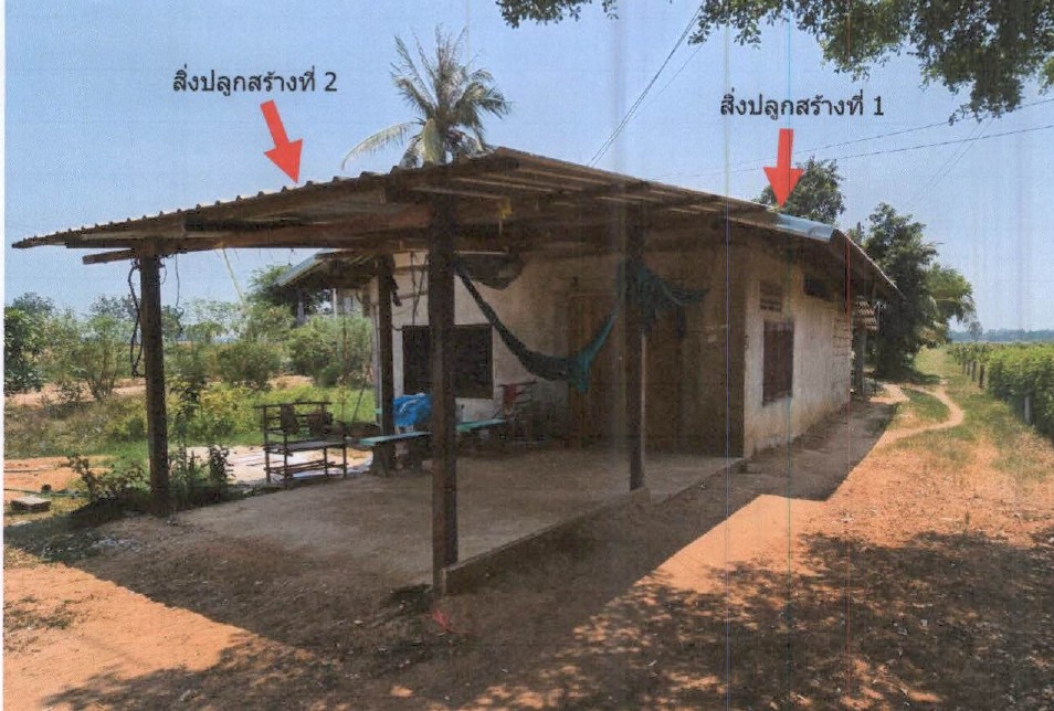 ขายทอดตลาด ที่ดินพร้อมสิ่งปลูกสร้าง ต.ปากพระ อ.เมืองสุโขทัยธานี จ.สุโขทัย