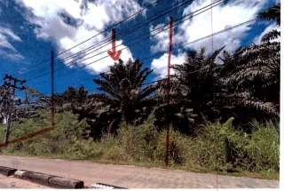 รูปทรัพย์ 2