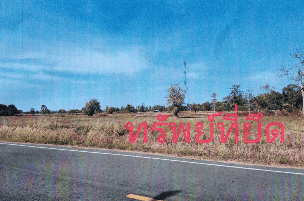 ขายทอดตลาด ที่ดินว่างเปล่า จ.นครราชสีมา