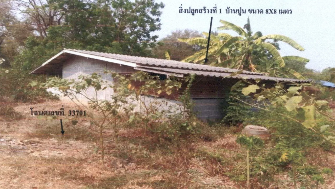 ขายทอดตลาด ที่ดินพร้อมสิ่งปลูกสร้าง ต.ป่าสะแก อ.เดิมบางนางบวช จ.สุพรรณบุรี