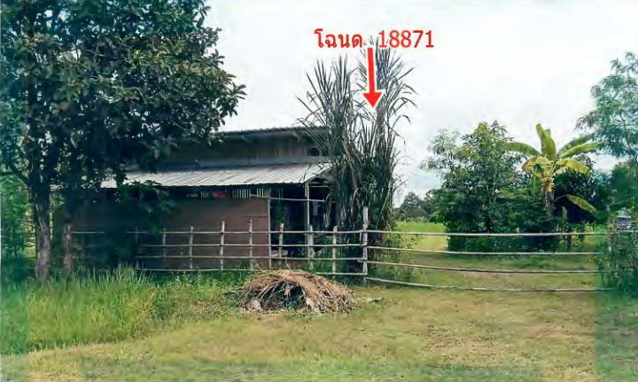 ขายทอดตลาด ที่ดินพร้อมสิ่งปลูกสร้าง ต.นาพิน อ.ตระการพืชผล จ.อุบลราชธานี