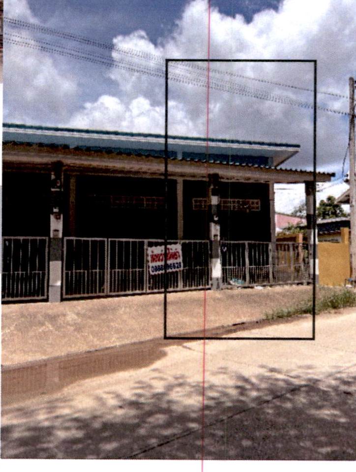 ขายทอดตลาด ที่ดินพร้อมสิ่งปลูกสร้าง ต.ท่าข้าม อ.พุนพิน จ.สุราษฎร์ธานี