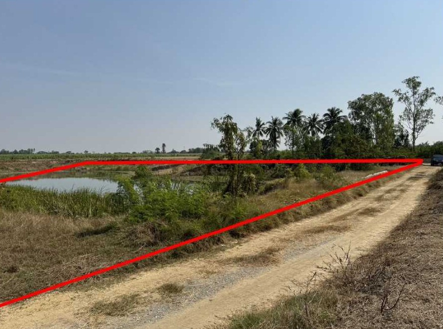 ขายทอดตลาด ที่ดินว่างเปล่า ต.ทุ่งคอก อ.สองพี่น้อง จ.สุพรรณบุรี