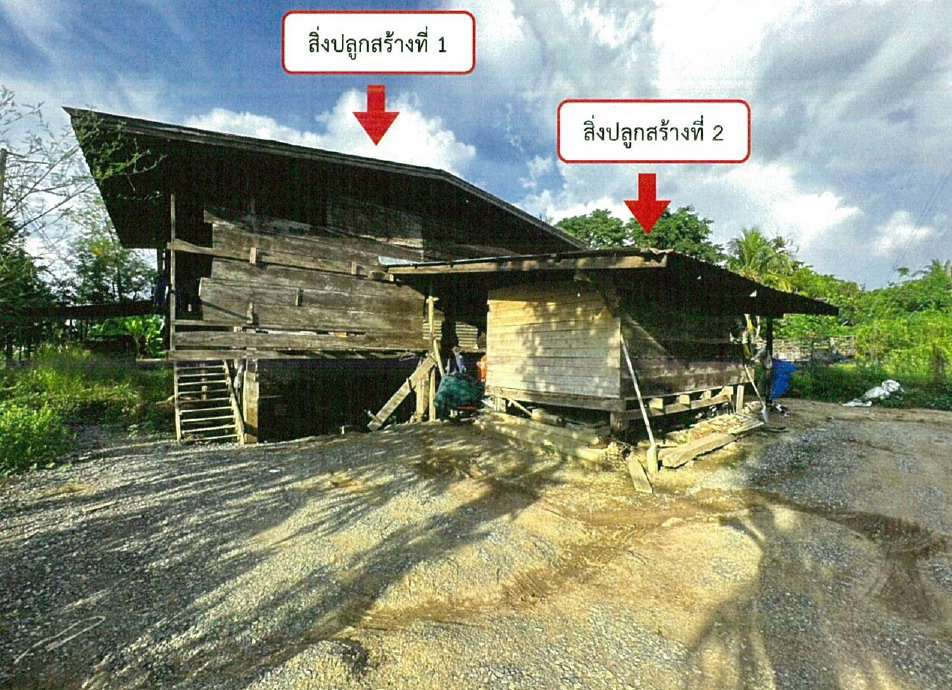 ขายทอดตลาด ที่ดินพร้อมสิ่งปลูกสร้าง ต.เกาะตาเลี้ยง อ.ศรีสำโรง จ.สุโขทัย