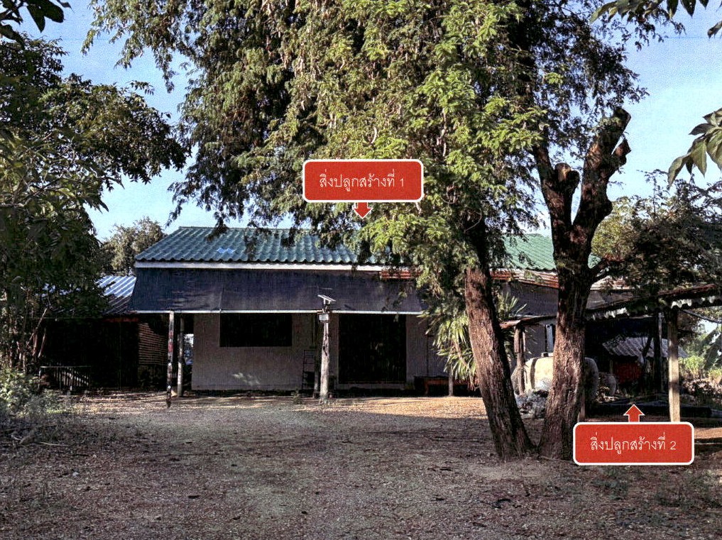 ขายทอดตลาด ที่ดินพร้อมสิ่งปลูกสร้าง ต.แจงงาม อ.หนองหญ้าไซ จ.สุพรรณบุรี
