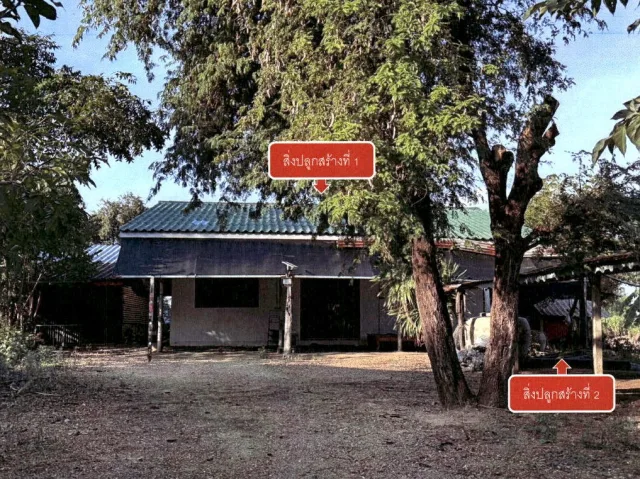 ขายทอดตลาด ที่ดินพร้อมสิ่งปลูกสร้าง ต.แจงงาม อ.หนองหญ้าไซ จ.สุพรรณบุรี