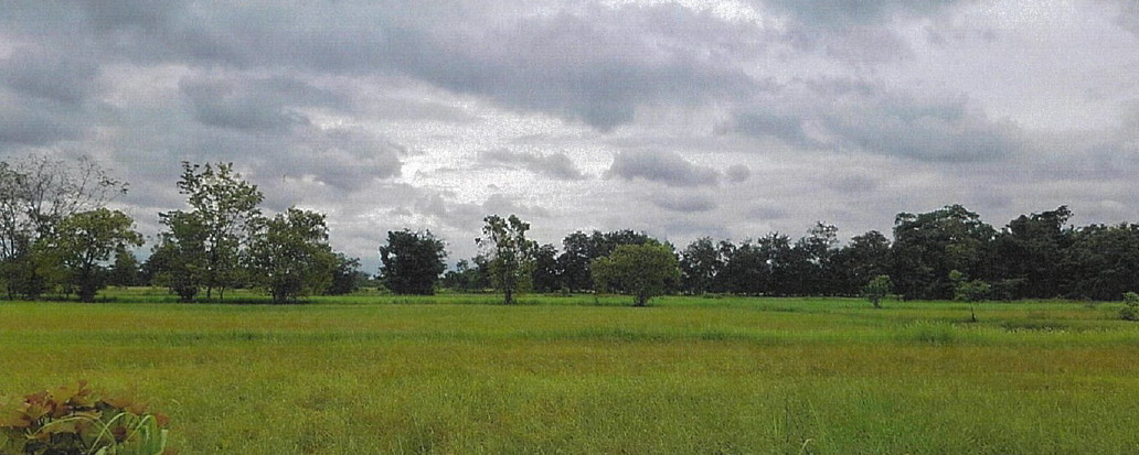 ขายทอดตลาด ที่ดินว่างเปล่า ต.เมืองเก่า อ.เมืองสุโขทัย จ.สุโขทัย