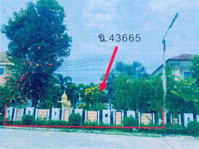 ขายทอดตลาด ที่ดินพร้อมสิ่งปลูกสร้าง ต.บ้านบึง อ.บ้านบึง จ.ชลบุรี