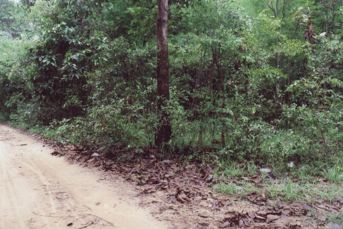 ขายทอดตลาด ที่ดินว่างเปล่า ต.โนนโหนน อ.วารินชำราบ จ.อุบลราชธานี