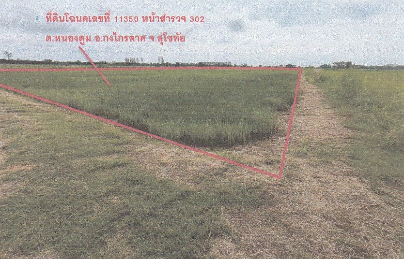 ขายทอดตลาด ที่ดินว่างเปล่า จ.พิจิตร