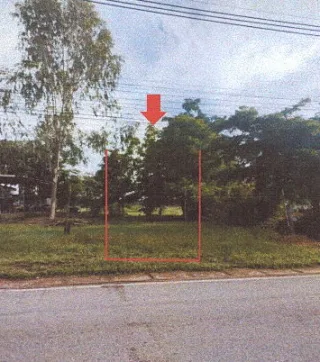 รูปทรัพย์ 2