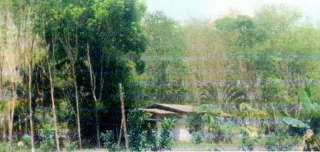 รูปทรัพย์ 1