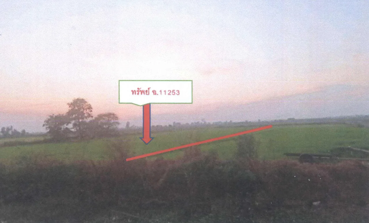 ขายทอดตลาด ที่ดินว่างเปล่า ต.องครักษ์ อ.บางปลาม้า จ.สุพรรณบุรี