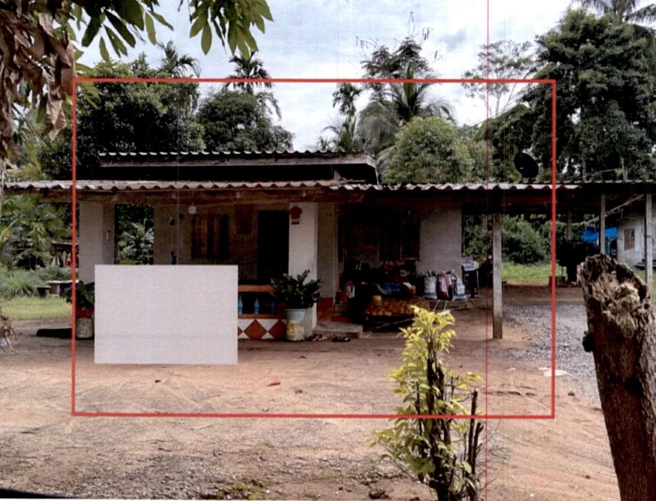 ขายทอดตลาด ที่ดินพร้อมสิ่งปลูกสร้าง ต.ทรัพย์ทวี อ.บ้านนาเดิม จ.สุราษฎร์ธานี