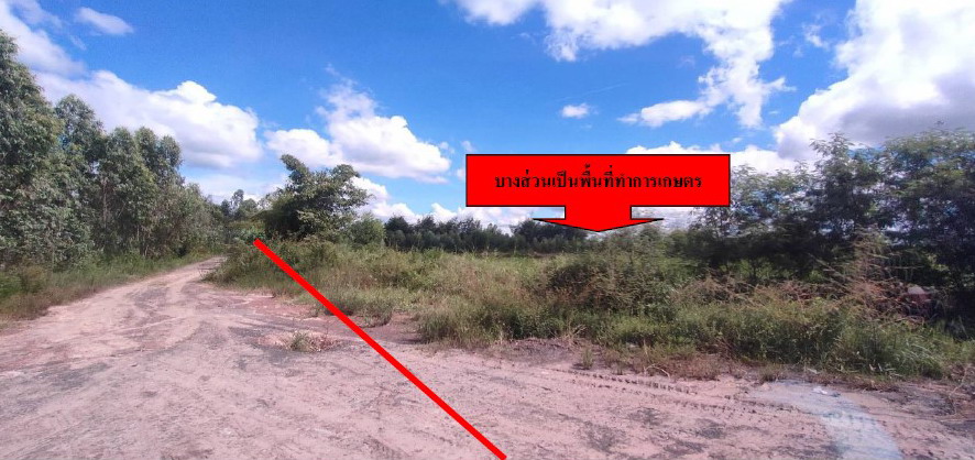 ขายทอดตลาด ที่ดินว่างเปล่า ต.ยางขี้นก อ.เขื่องใน จ.อุบลราชธานี