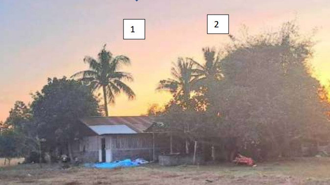 ขายทอดตลาด ที่ดินพร้อมสิ่งปลูกสร้าง ต.หนองบก อ.กิ่งอำเภอเหล่าเสือโก้ก จ.อุบลราชธานี