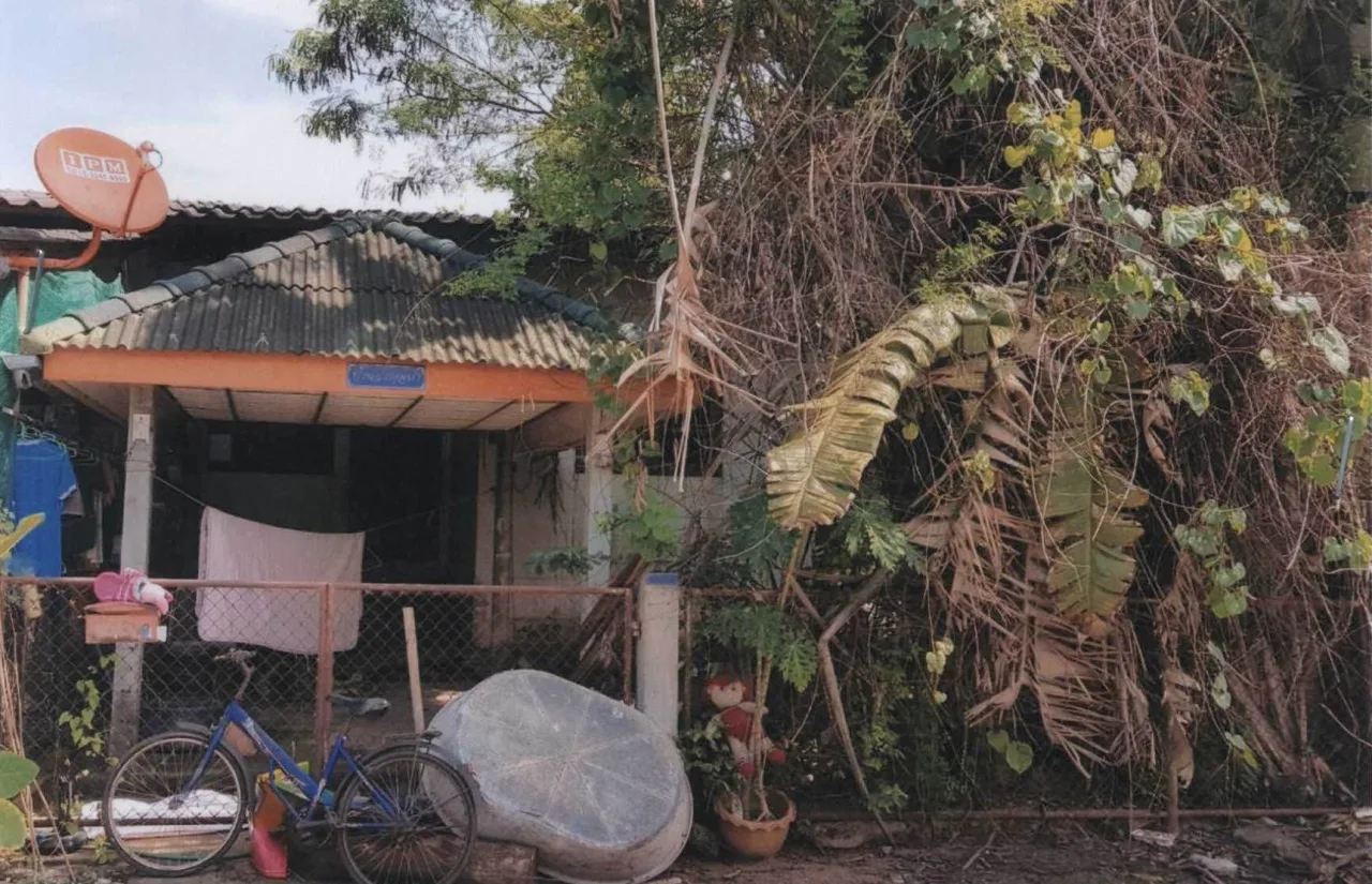 ขายทอดตลาด ที่ดินพร้อมสิ่งปลูกสร้าง ต.ท่าข้าม อ.พุนพิน จ.สุราษฎร์ธานี