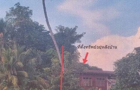 ขายทอดตลาด ที่ดินว่างเปล่า ต.วังลึก อ.ศรีสำโรง จ.สุโขทัย