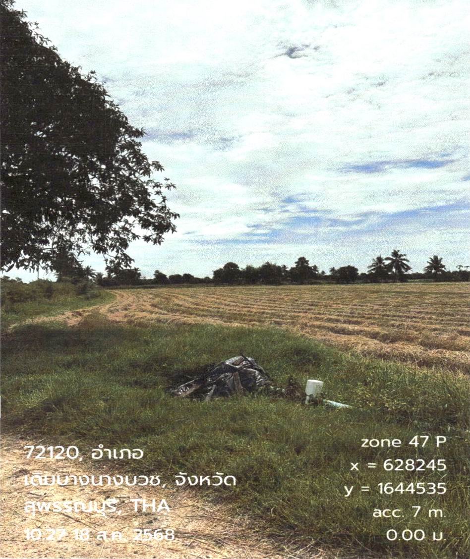 ขายทอดตลาด ที่ดินว่างเปล่า ต.ทุ่งคลี อ.เดิมบางนางบวช จ.สุพรรณบุรี