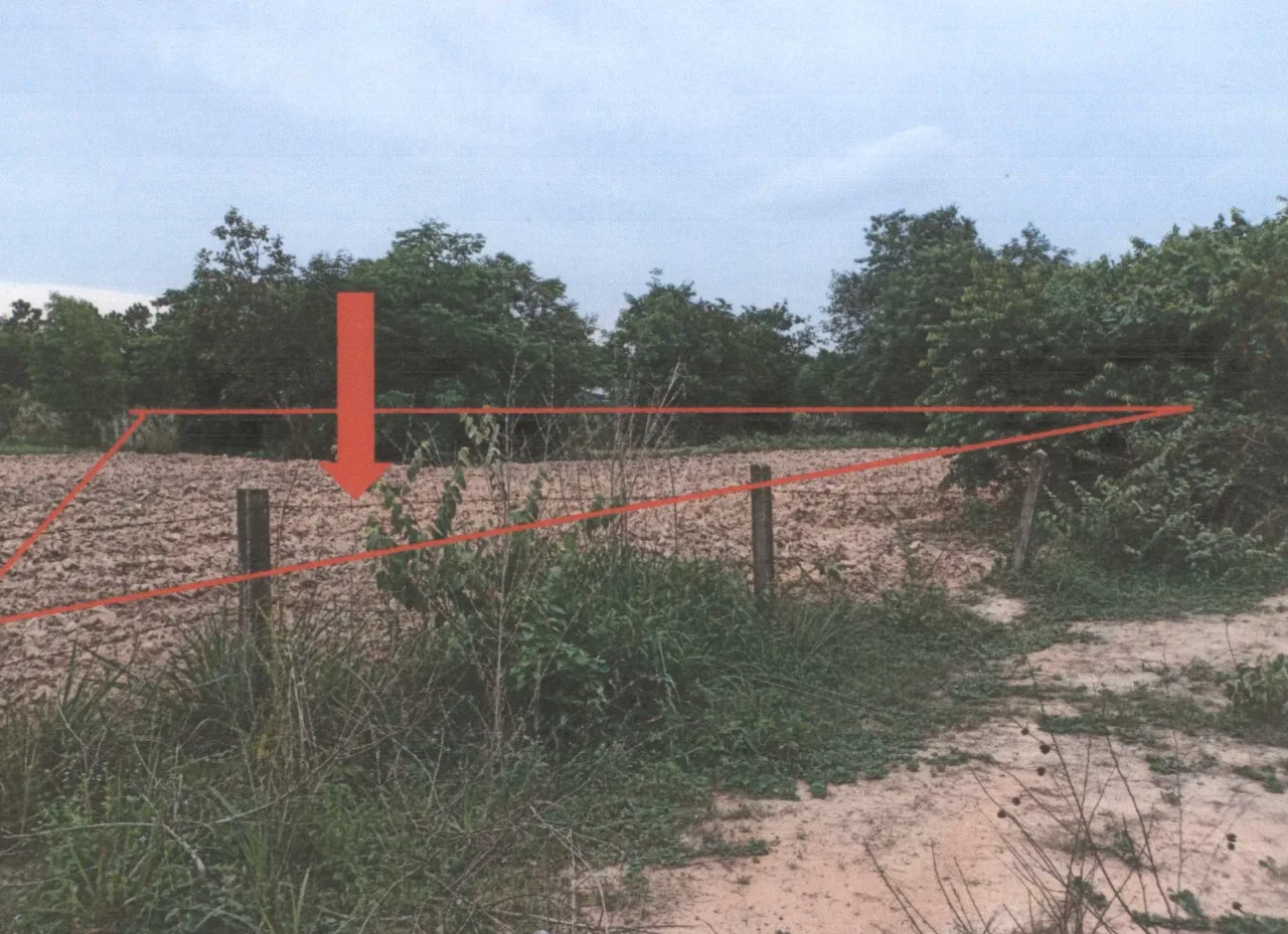 ขายทอดตลาด ที่ดินว่างเปล่า ต.บุ่งหวาย อ.วารินชำราบ จ.อุบลราชธานี