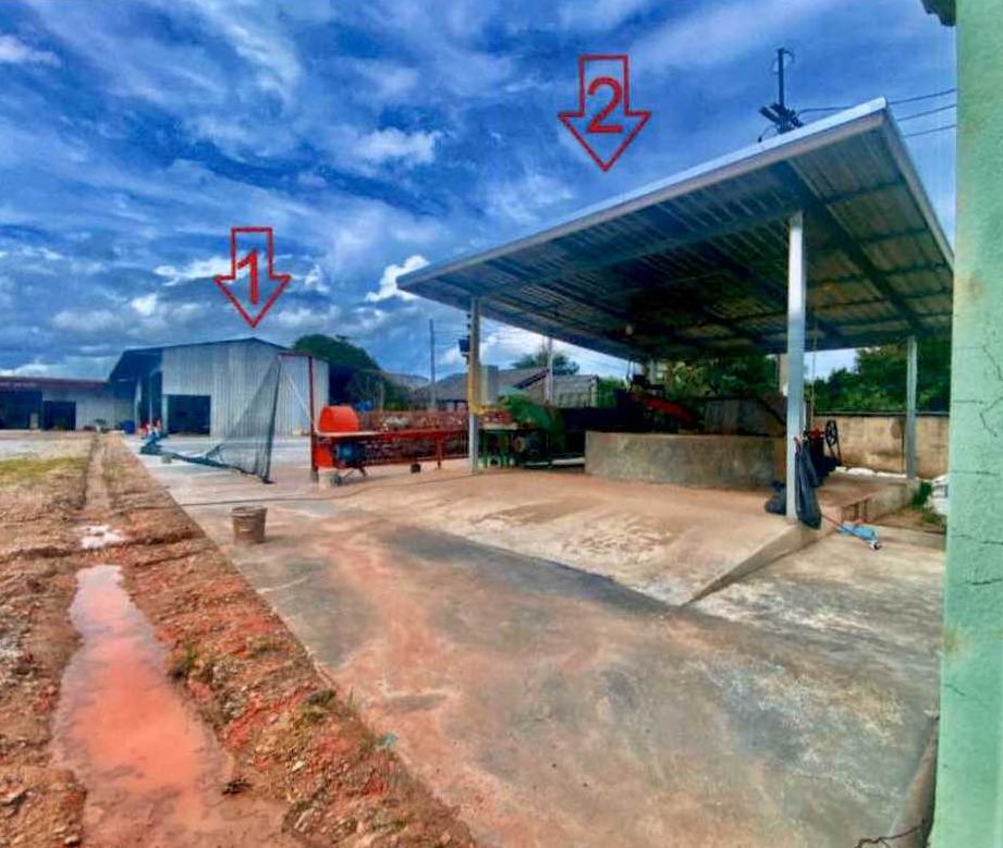 ขายทอดตลาด ที่ดินพร้อมสิ่งปลูกสร้าง ต.หนองมะค่าโมง อ.ด่านช้าง จ.สุพรรณบุรี