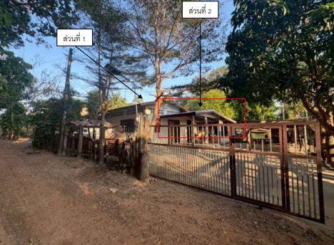 ขายทอดตลาด ที่ดินพร้อมสิ่งปลูกสร้าง ต.หนองบก อ.กิ่งอำเภอเหล่าเสือโก้ก จ.อุบลราชธานี