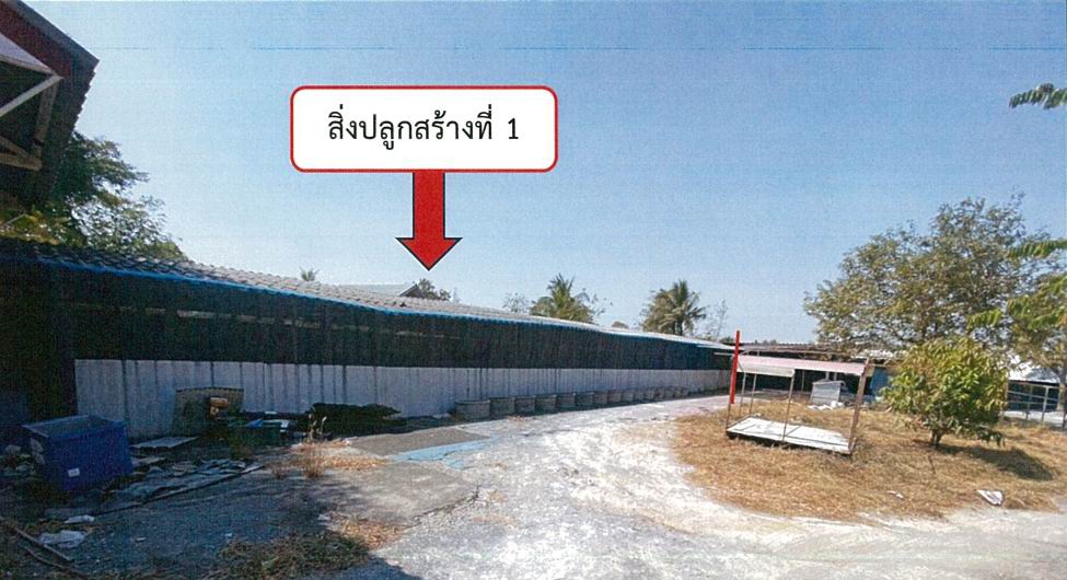 ขายทอดตลาด ที่ดินพร้อมสิ่งปลูกสร้าง ต.จรเข้สามพัน อ.อู่ทอง จ.สุพรรณบุรี