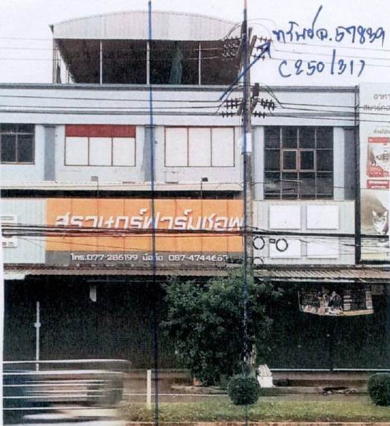 ขายทอดตลาด ที่ดินพร้อมสิ่งปลูกสร้าง ต.มะขามเตี้ย อ.เมืองสุราษฎร์ธานี จ.สุราษฎร์ธานี