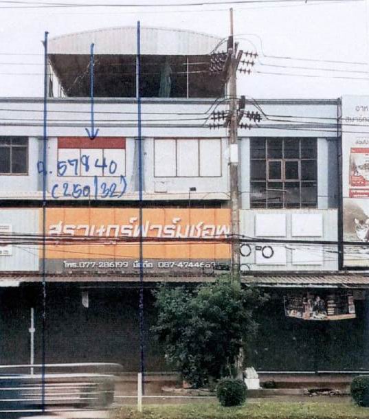ขายทอดตลาด ที่ดินพร้อมสิ่งปลูกสร้าง ต.มะขามเตี้ย อ.เมืองสุราษฎร์ธานี จ.สุราษฎร์ธานี
