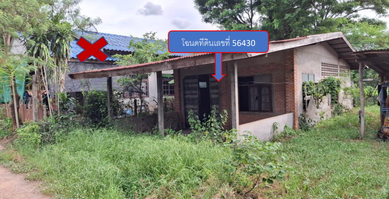 ขายทอดตลาด ที่ดินพร้อมสิ่งปลูกสร้าง ต.ม่วงสามสิบ อ.ม่วงสามสิบ จ.อุบลราชธานี