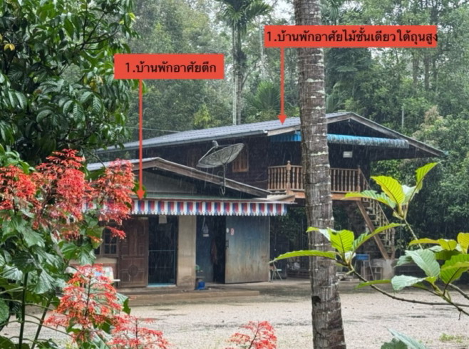 ขายทอดตลาด ที่ดินพร้อมสิ่งปลูกสร้าง ต.บางเดือน อ.พุนพิน จ.สุราษฎร์ธานี