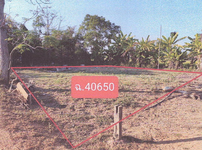 ขายทอดตลาด ที่ดินว่างเปล่า ต.บ้านนา อ.ศรีสำโรง จ.สุโขทัย