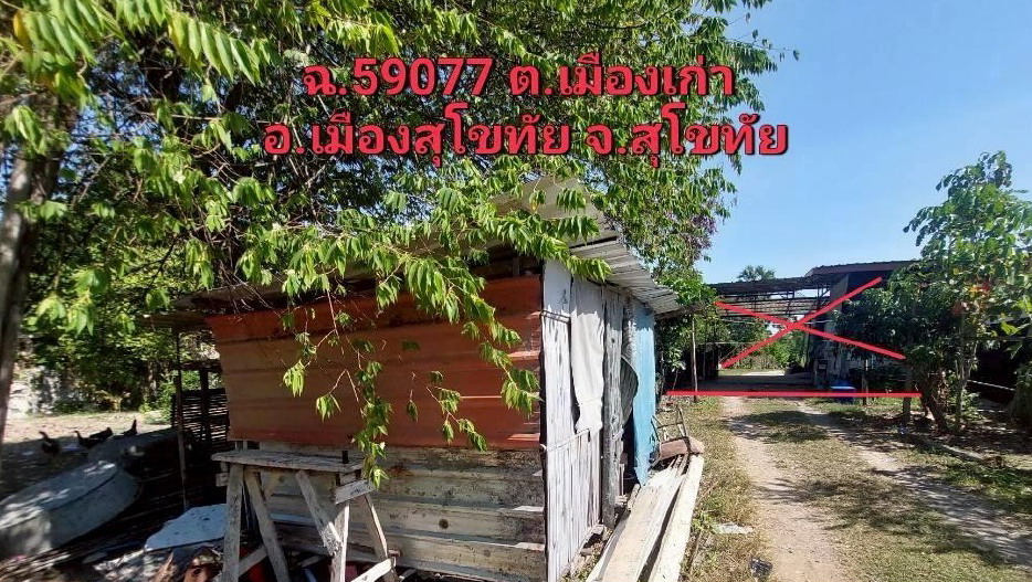 ขายทอดตลาด ที่ดินพร้อมสิ่งปลูกสร้าง ต.เมืองเก่า อ.เมืองสุโขทัย จ.สุโขทัย