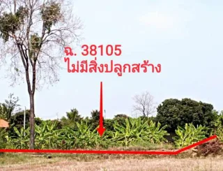รูปทรัพย์ 4